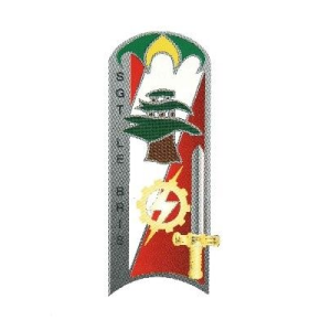 Insigne 25ème Promotion